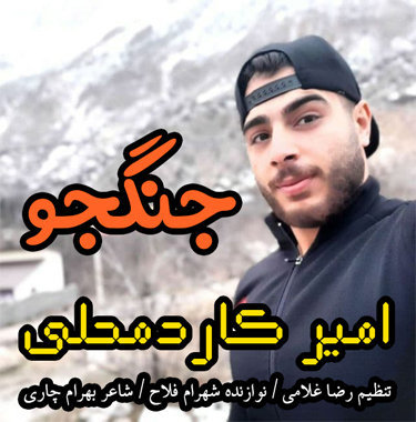 امیر کاردمحلی جنگجو